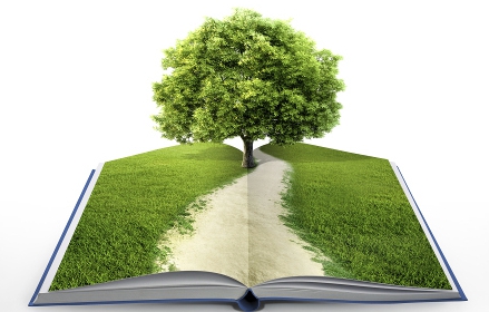 ���������� ����