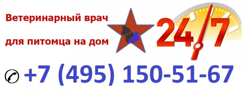 ��������� �� ��� 24 ����. ������