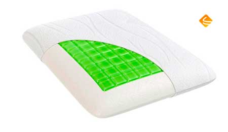 ������������� �������