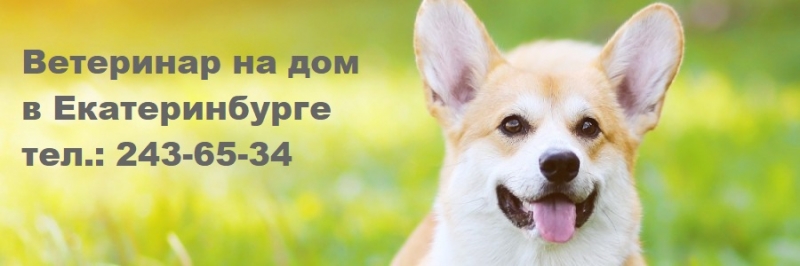 ��������� ��� ����� �� ��� � ���