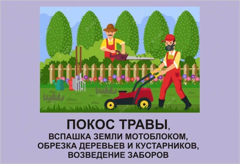 ����� �����, ������� ����������, ������� �������� � ����������, ��������, ���������������
