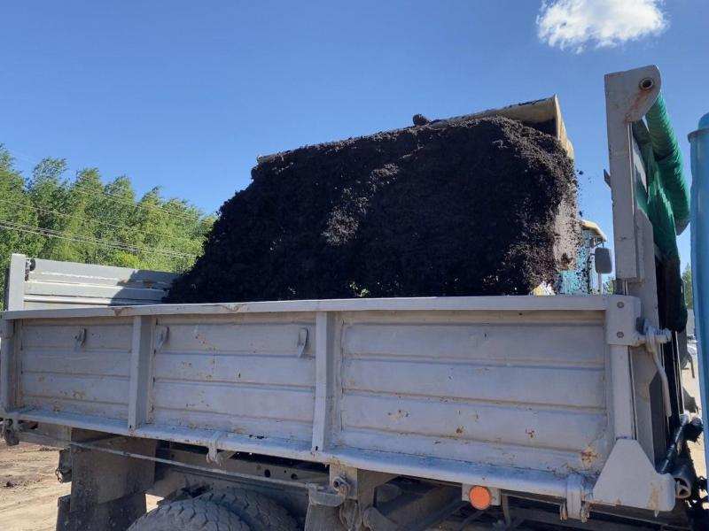 ��������� ����� �����������, �����, ������, �����