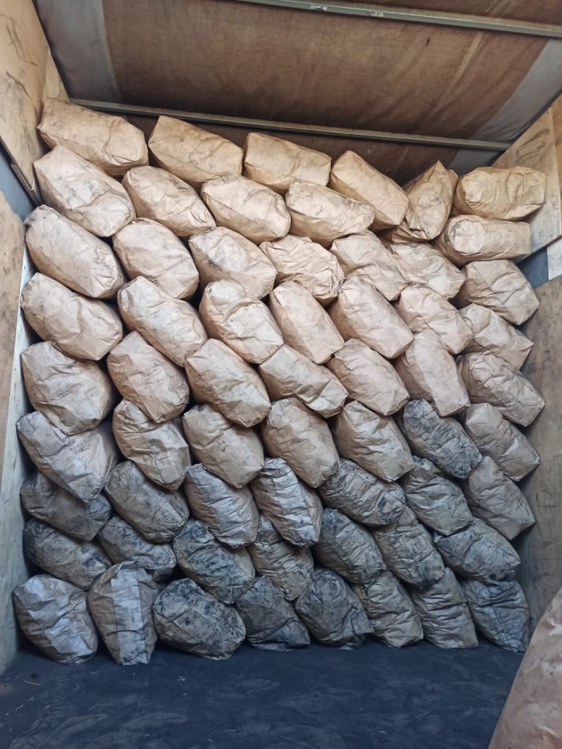 ������� ������ �� ���������� ���������� ����