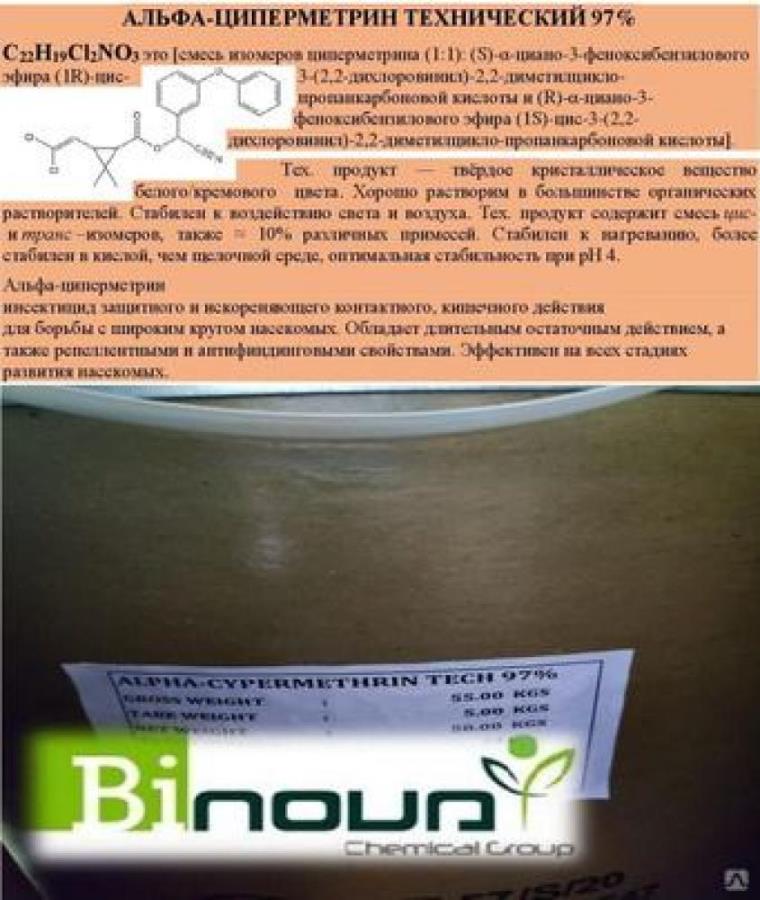 �ep�e�p��, �p�����p��, ��a�c��y�p��, �e���o�, ����p���p��