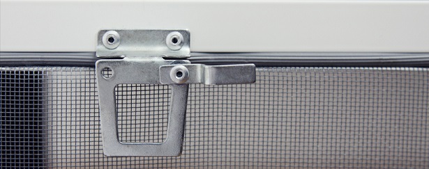 ������������� ��������� ����� ������ �� ����