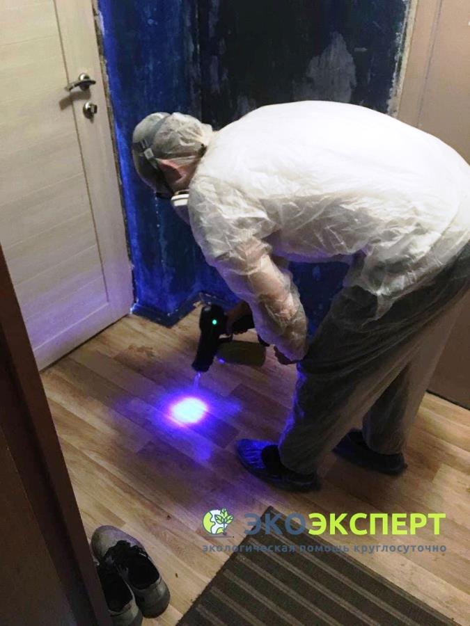 O��c��a �� ��y��. Moc��a � ���ac��. Co��a�� p�y��