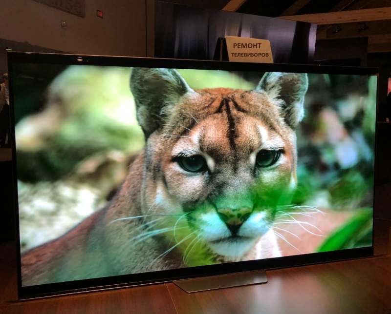 ������ ����������� ������-��������� �������  ������ ��������