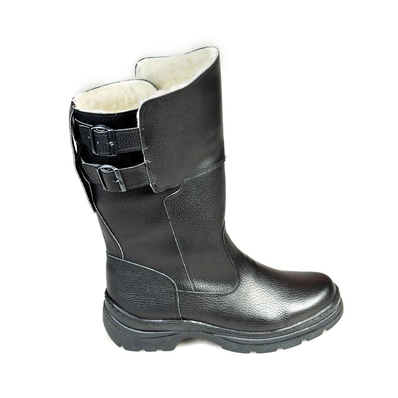 ������ ������