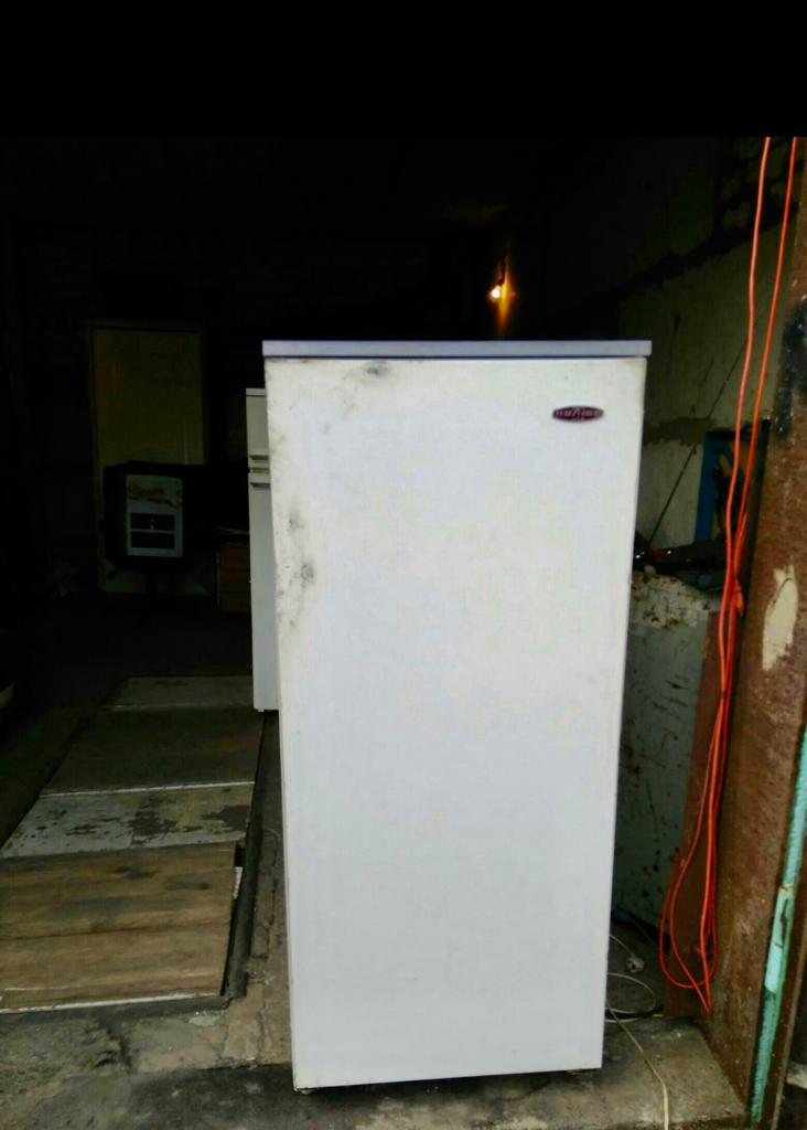 �����������. ���������