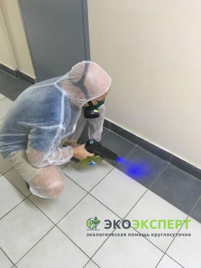 C�y��a ��y��, �e�ep�y���a���, ���c��� o� �����