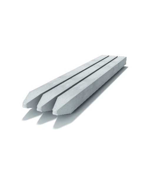 ���� ��������������