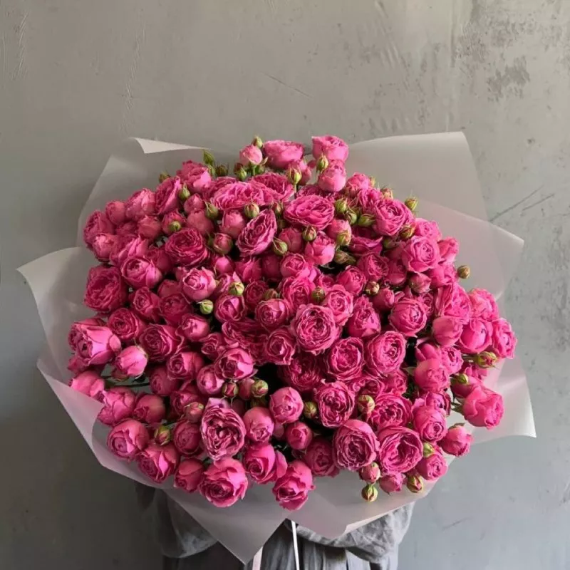 berezhno - �������� ������ � ������� � ������