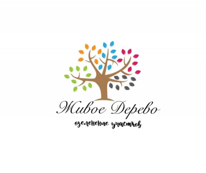 O�e���e��e �ep����p�� �oca��a �py��o�epo� c �apa���e� �������e��c��