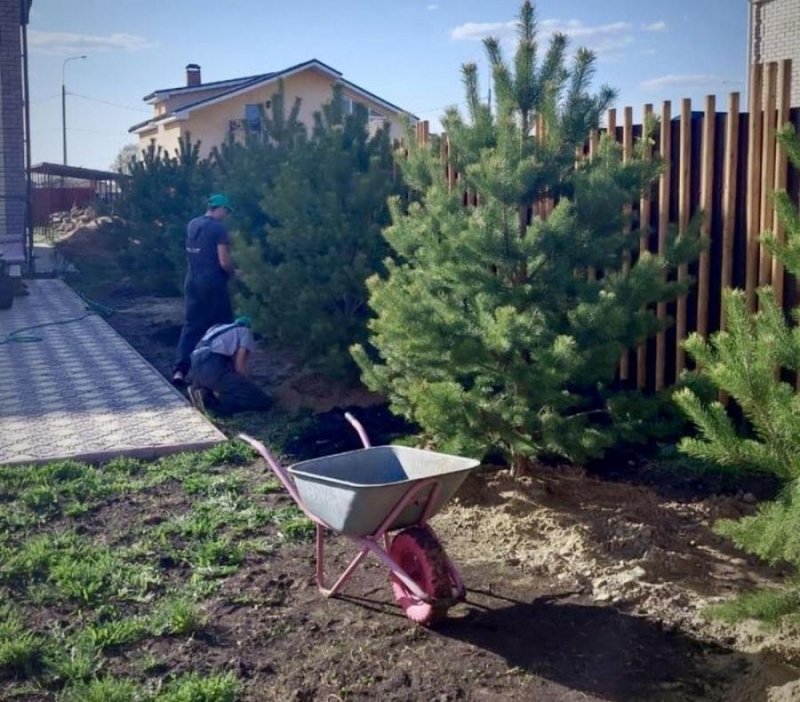 ����� �epe�o - �po�ep����� pe�e��� ��� ����e�e���