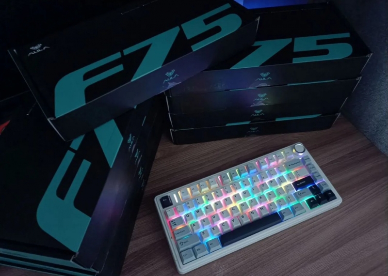 ����� ���������� aula f75
