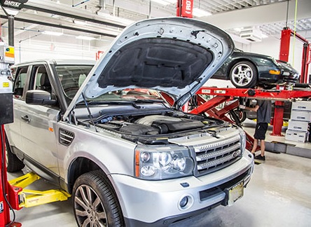 range rover evoque ������