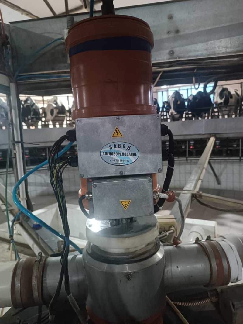 ������ ������������ ���